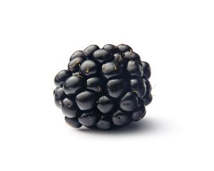 Blackberry Port 21.5L